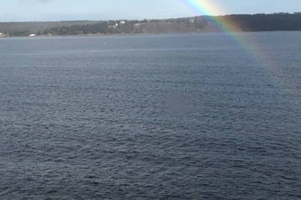 Photo of Others in LaHave