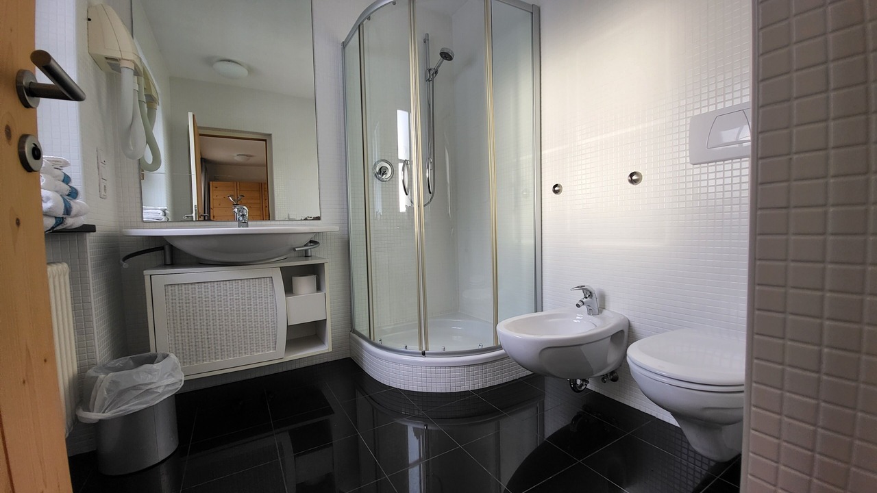 Photo of Bathroom in Gais