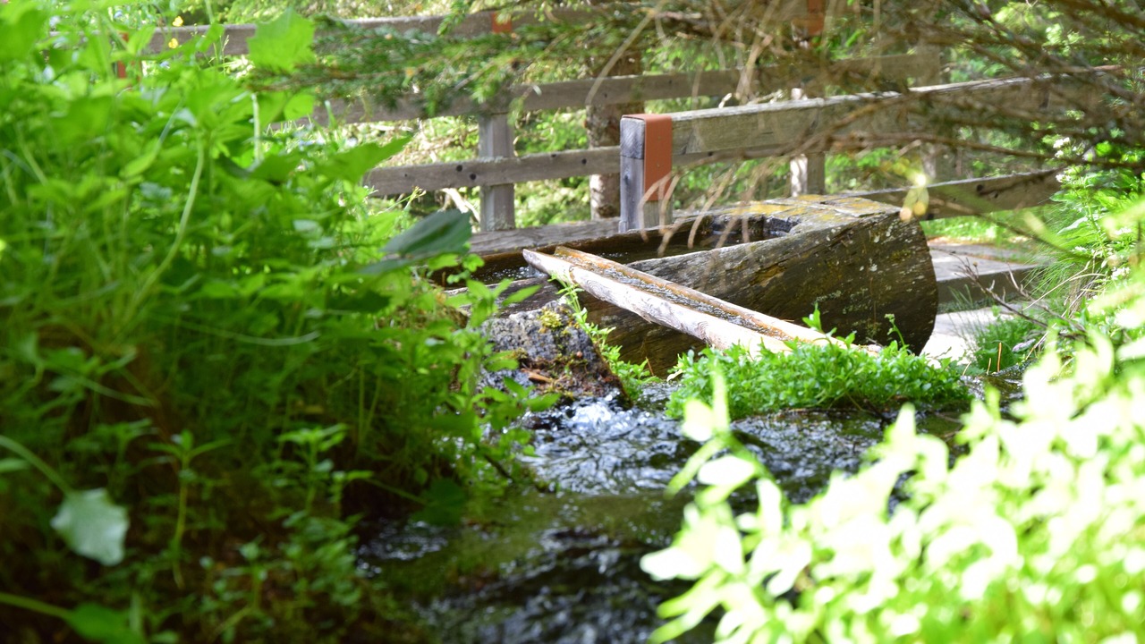 Photo of Outdoor in Gais