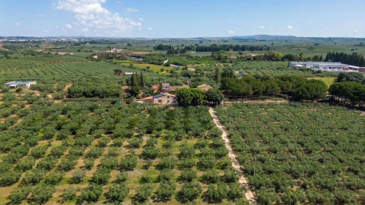 Photo of Outdoor in Castelvetrano