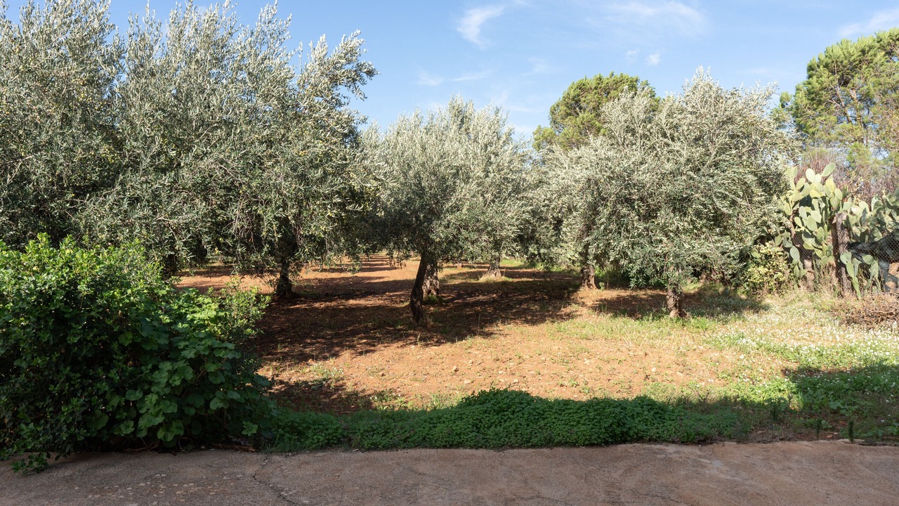 Photo of Outdoor in Castelluzzo