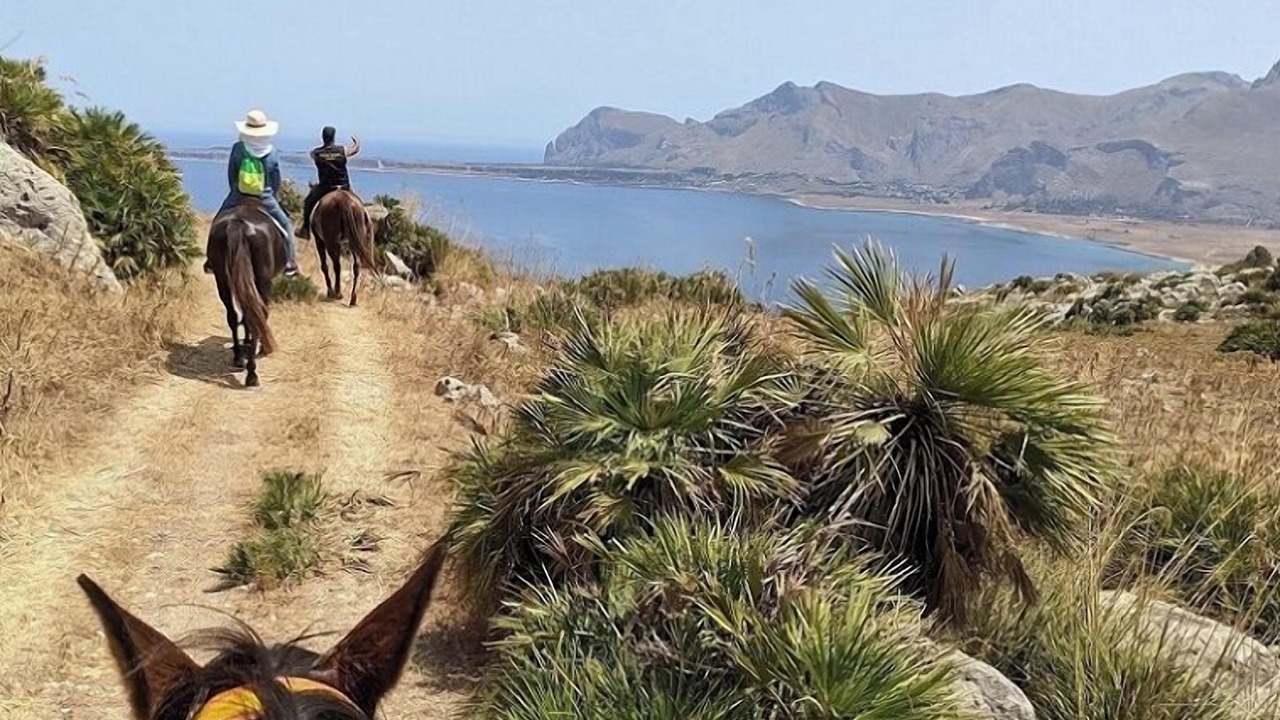 Photo of Others in Castellammare del Golfo