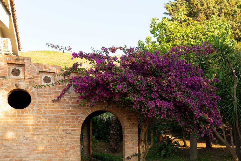 Photo of Outdoor in Partinico