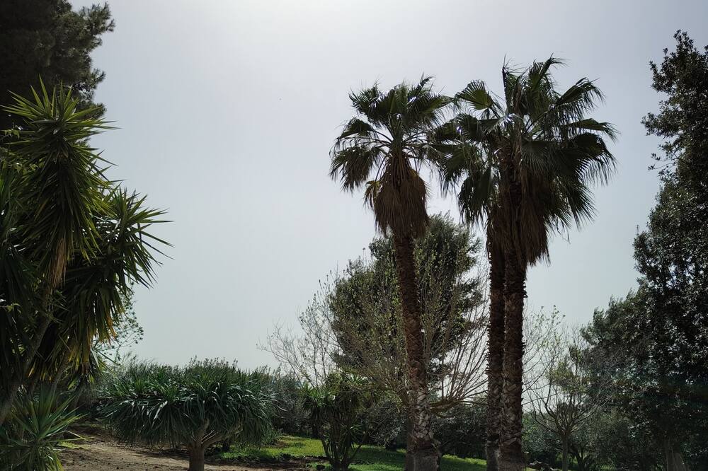 Photo of Outdoor in Partinico