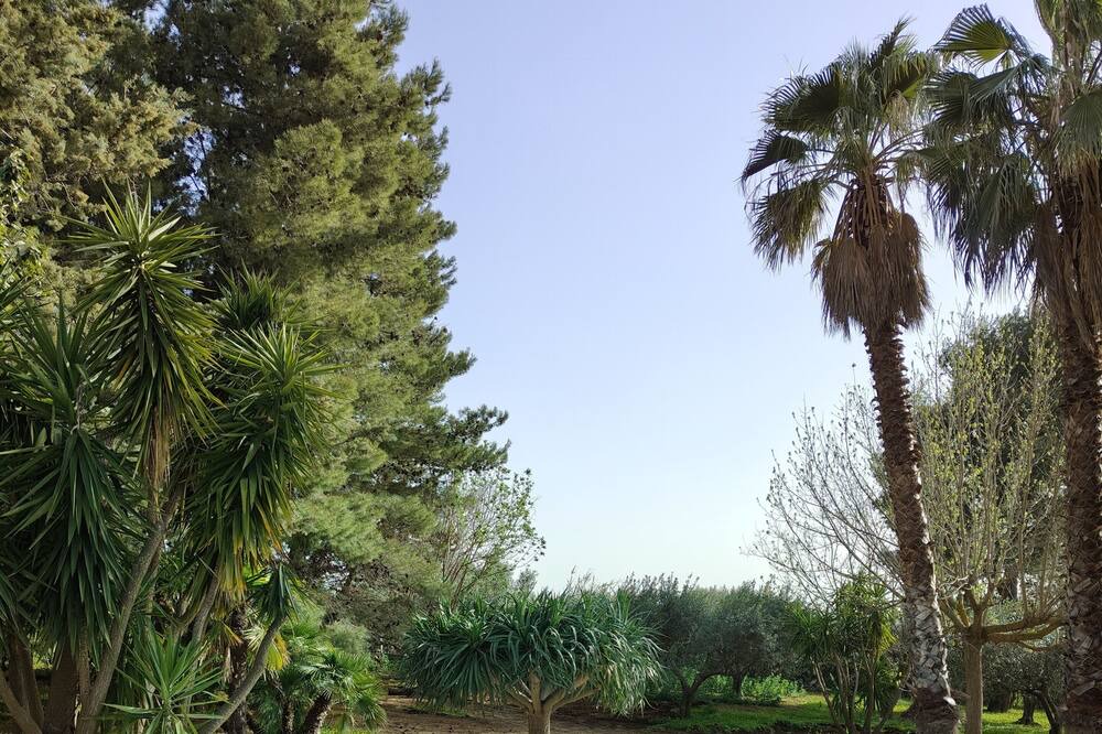Photo of Outdoor in Partinico