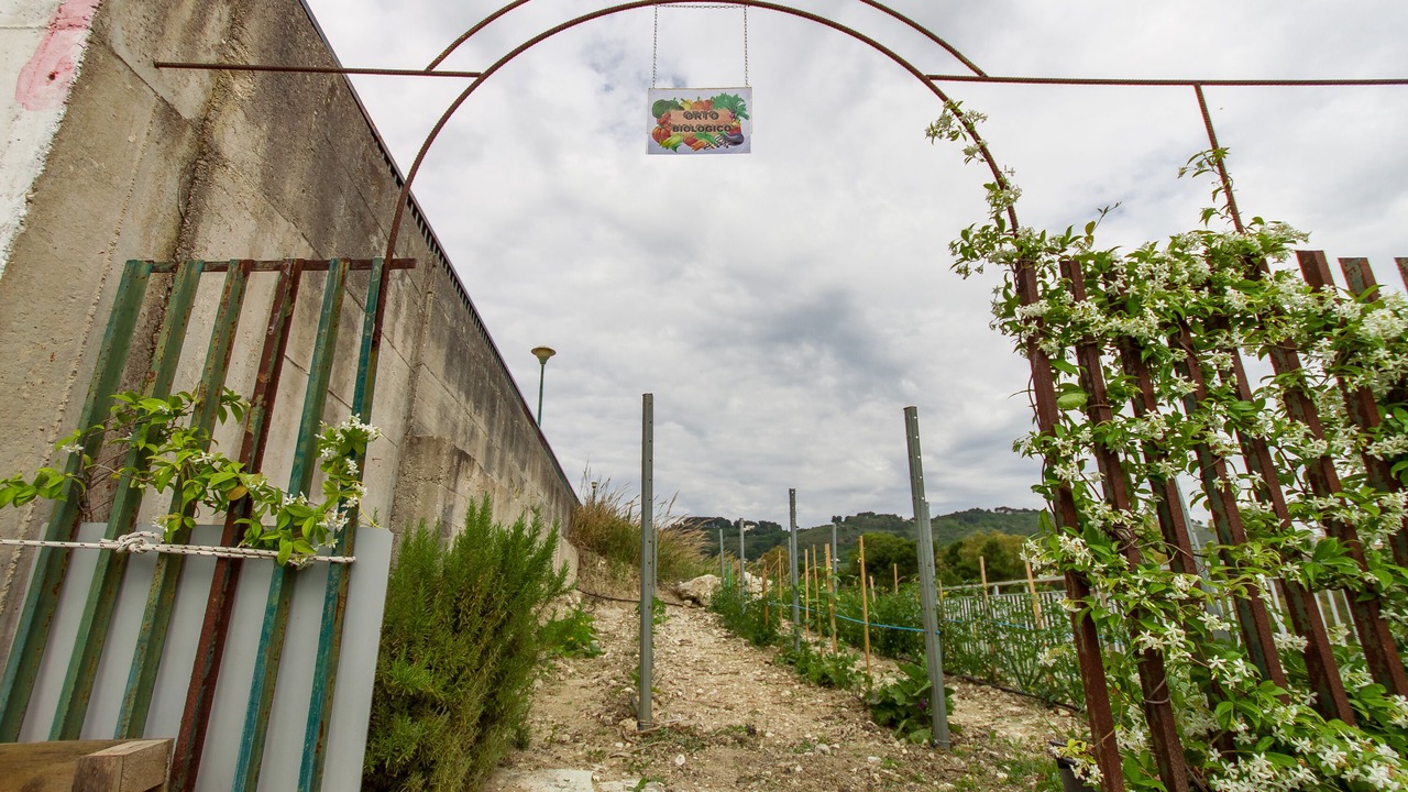 Photo of Outdoor in Salemi