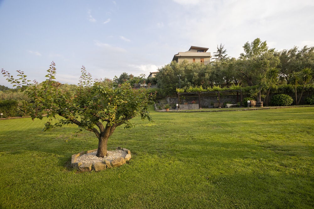 Photo of Outdoor in Naso