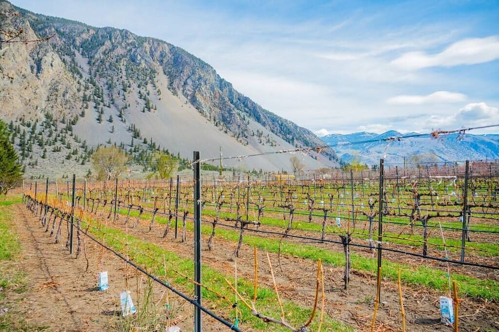 Photo of Others in Okanagan-Similkameen