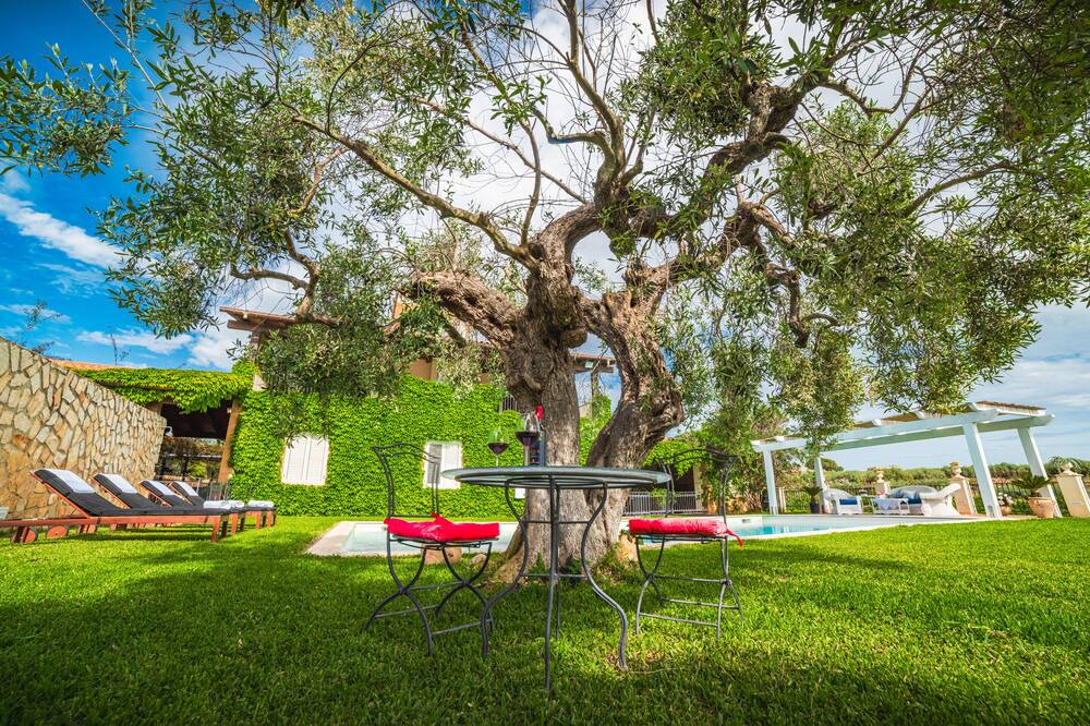 Photo of Outdoor in Ribera