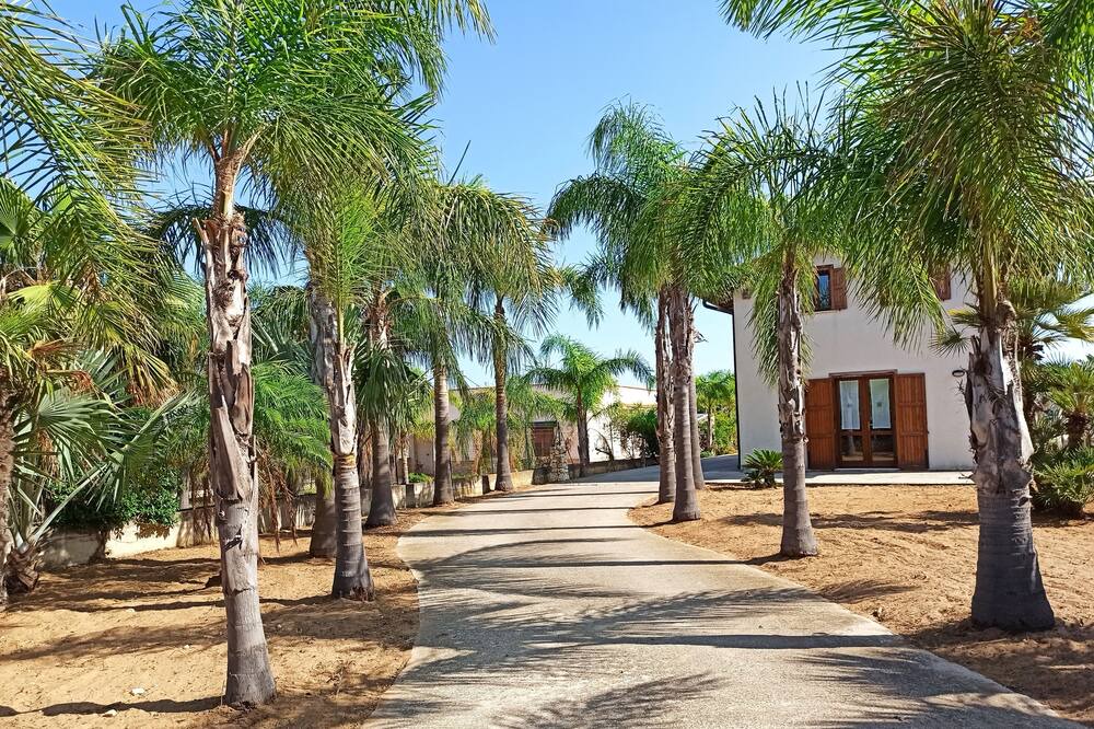 Photo of Outdoor in Alcamo