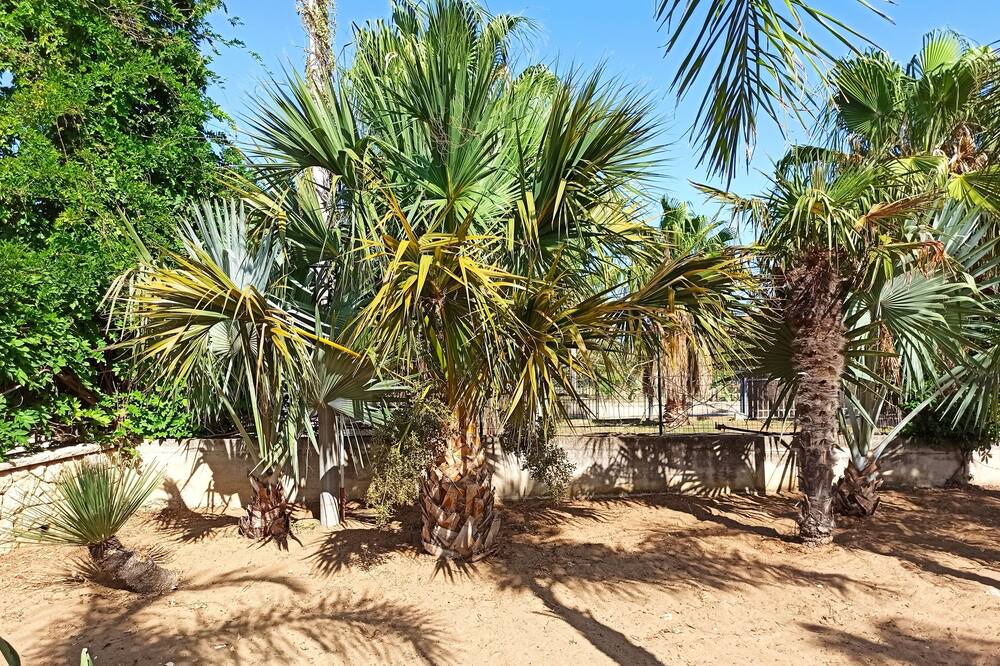 Photo of Outdoor in Alcamo