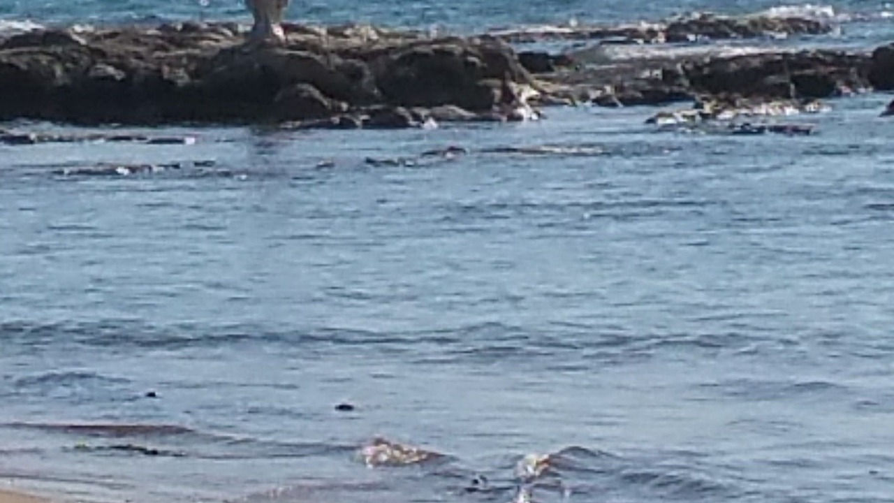Photo of Outdoor in Siculiana