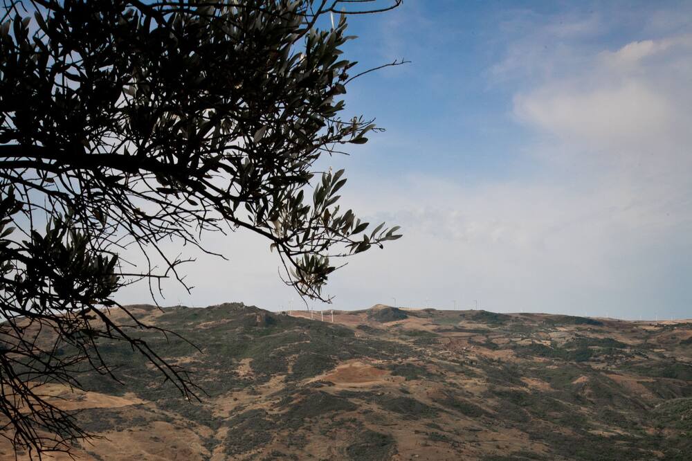 Photo of Outdoor in Scillato