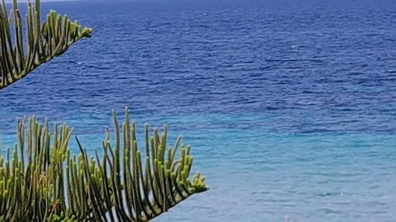 Photo of Outdoor in Marsala
