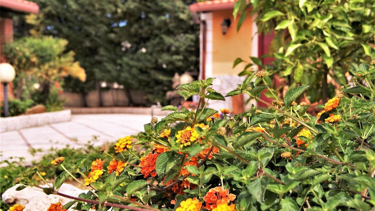 Photo of Outdoor in Balestrate