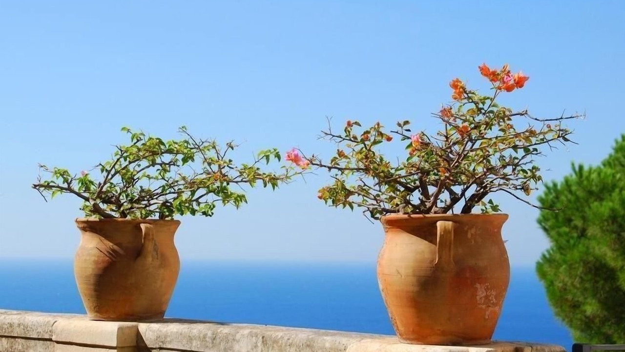 Photo of Outdoor in Balestrate