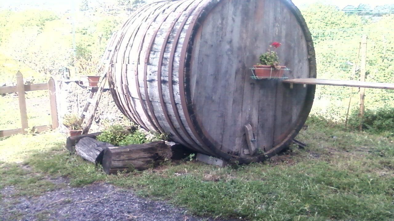 Photo of Outdoor in Castiglione di Sicilia