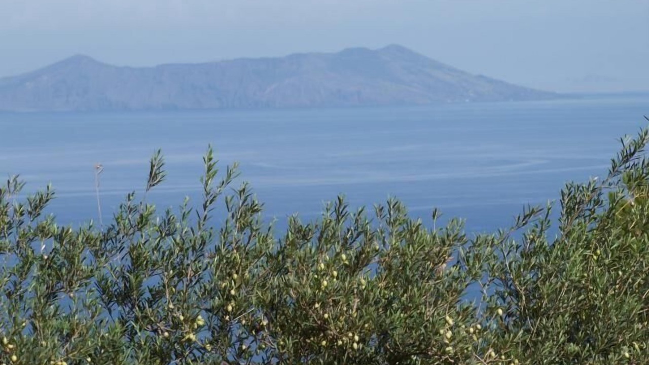 Photo of Others in Gioiosa Marea