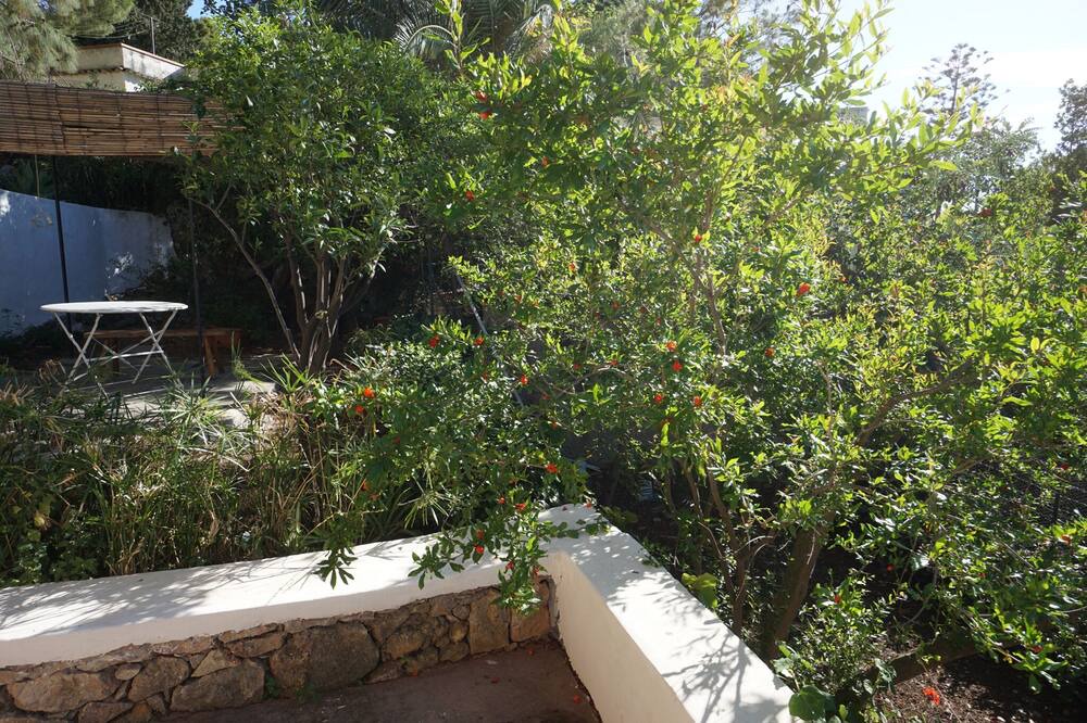 Photo of Patio Balcony in Torre Colonna-sperone