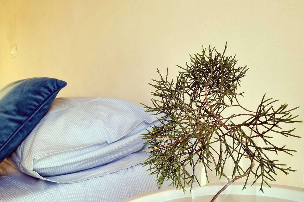 Photo of Bedroom in Cinisi