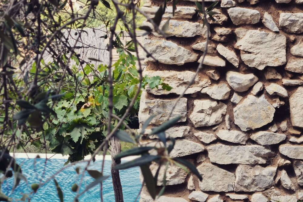 Photo of Others in Cinisi