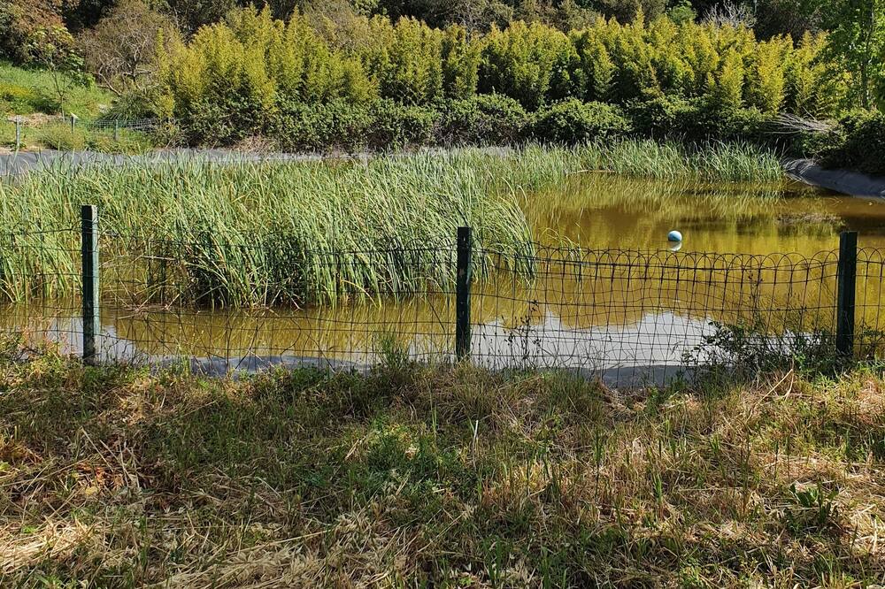 Photo of Outdoor in Pollina