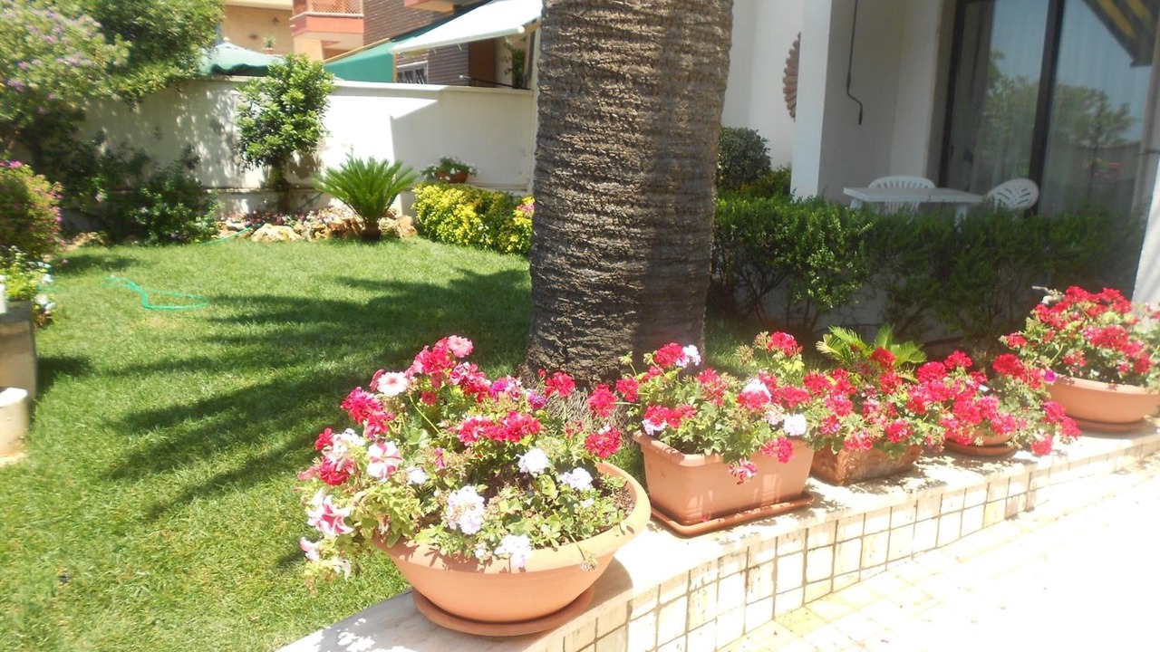 Photo of Outdoor in Anzio