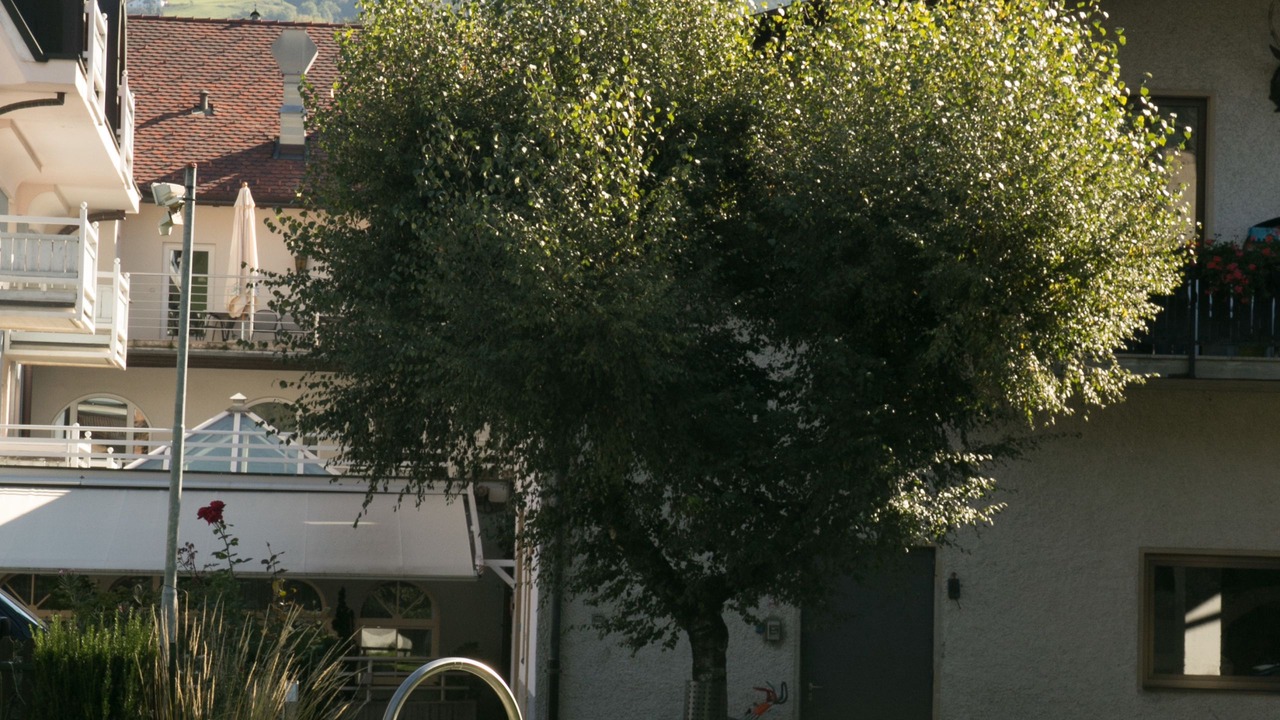 Photo of Outdoor in Bressanone