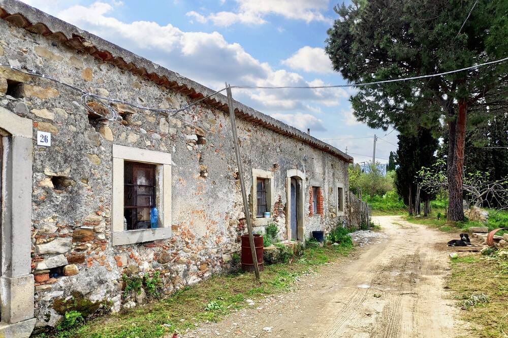 Photo of Outdoor in Mongiove