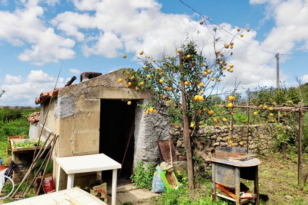 Photo of Outdoor in Mongiove