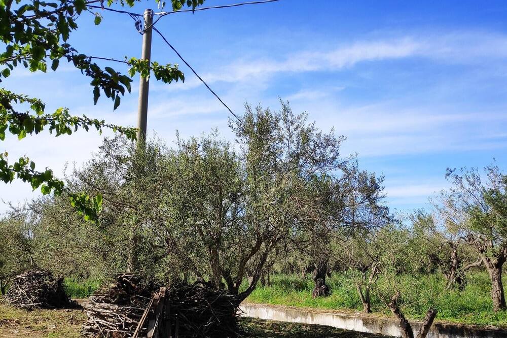 Photo of Outdoor in Mongiove