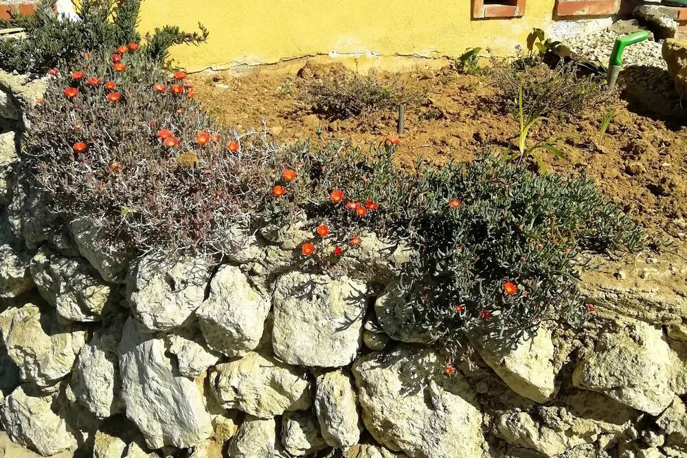 Photo of Others in Caltanissetta