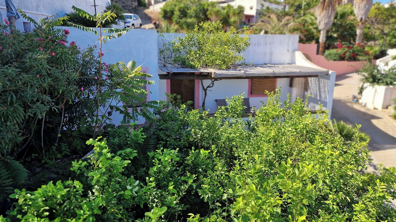 Photo of Outdoor in Kamma