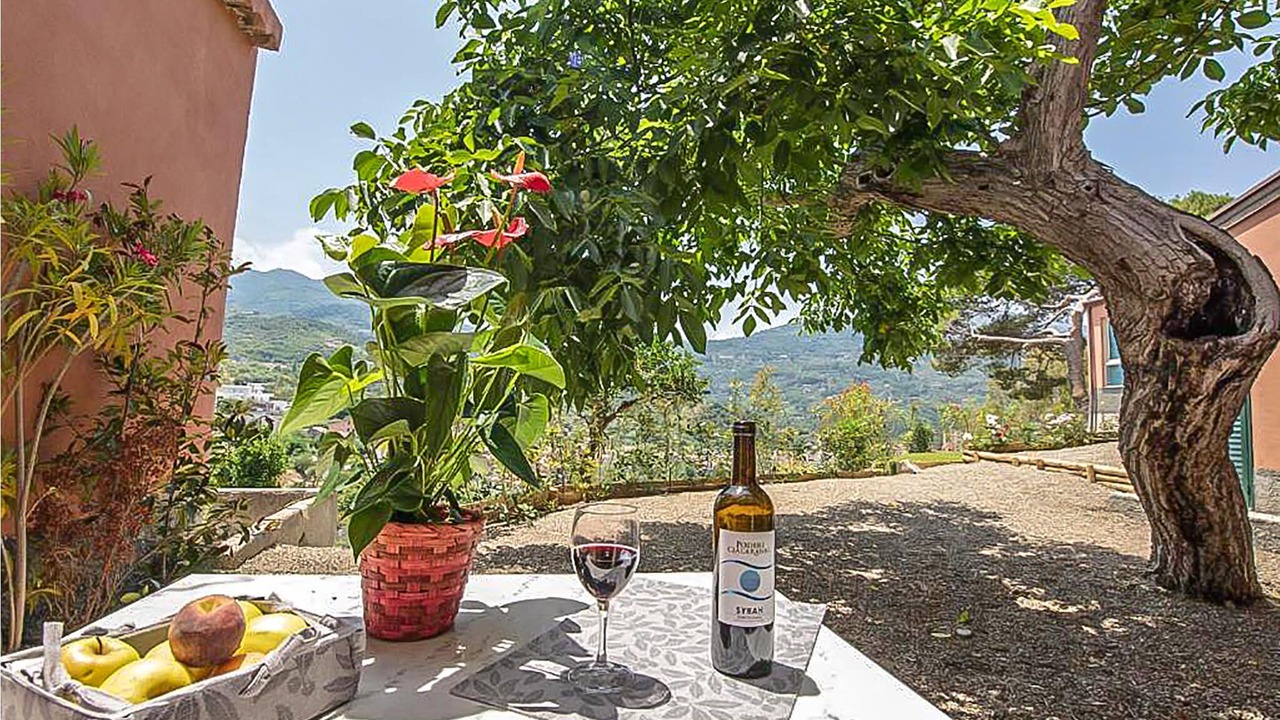 Photo of Outdoor in Patti