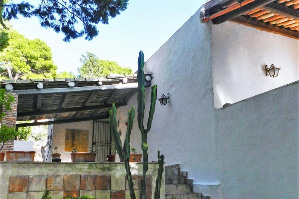 Photo of Outdoor in Mockarta
