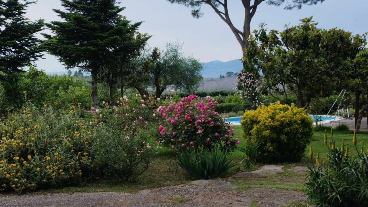 Photo of Outdoor in Cisterna di Latina