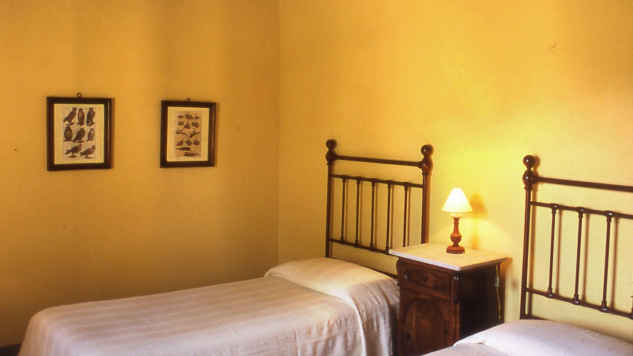 Photo of Outdoor in Foiano della Chiana