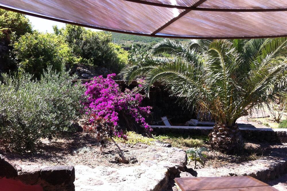 Photo of Outdoor in Kamma