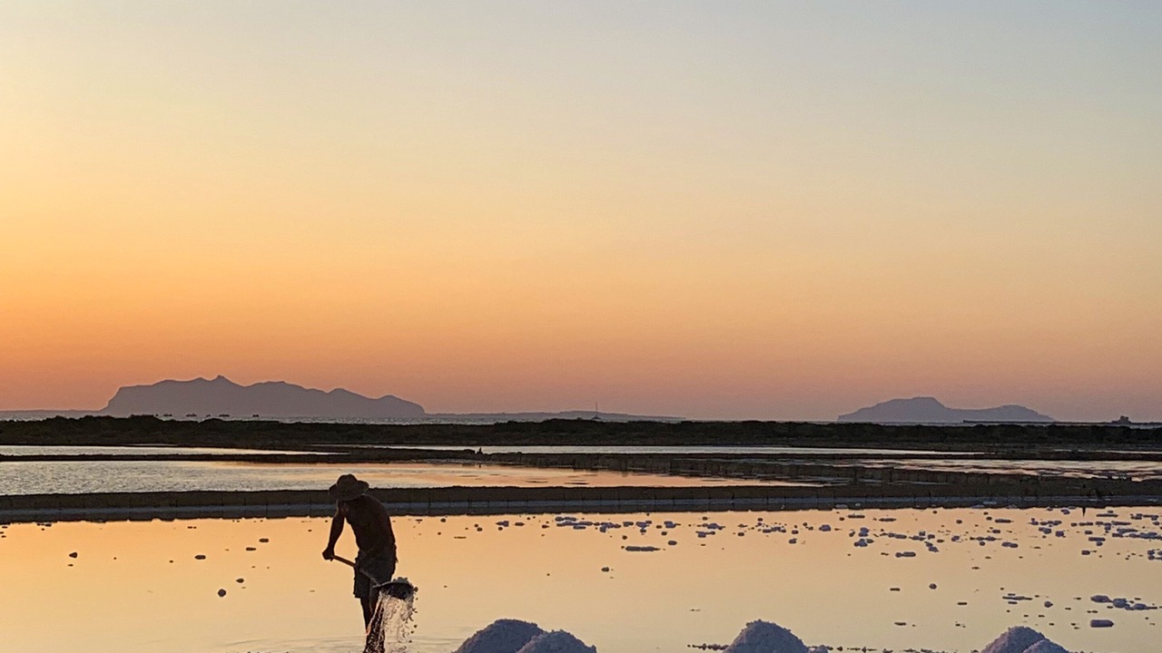 Photo of Others in Marsala