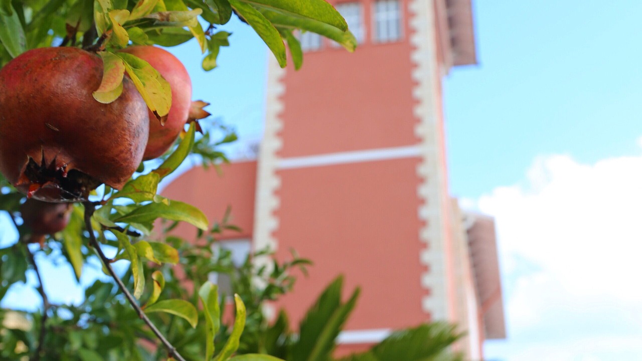 Photo of Outdoor in Porticello