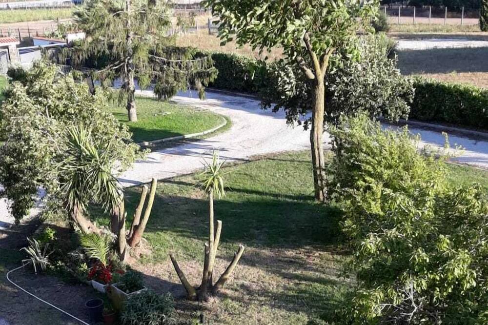 Photo of Outdoor in Nettuno