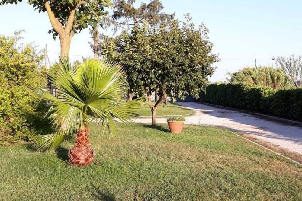 Photo of Outdoor in Nettuno