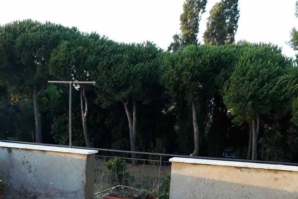 Photo of Others in Nettuno