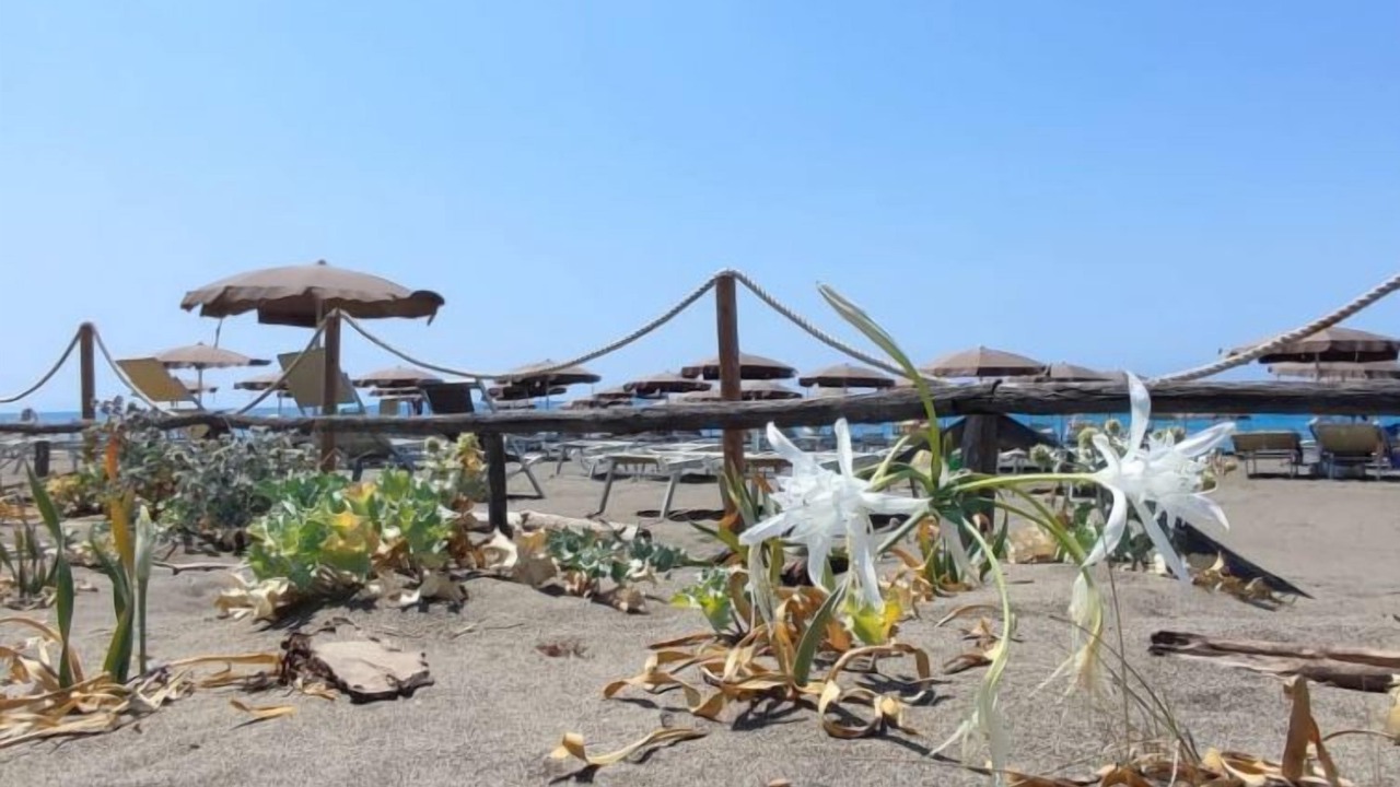 Photo of Outdoor in Marina di Bibbona
