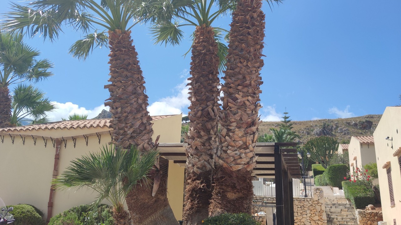 Photo of Outdoor in Castellammare del Golfo