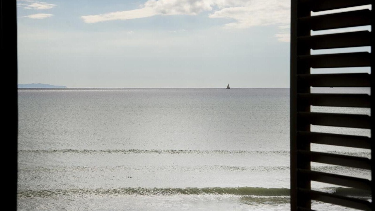 Photo of Others in Marina di Castagneto Carducci
