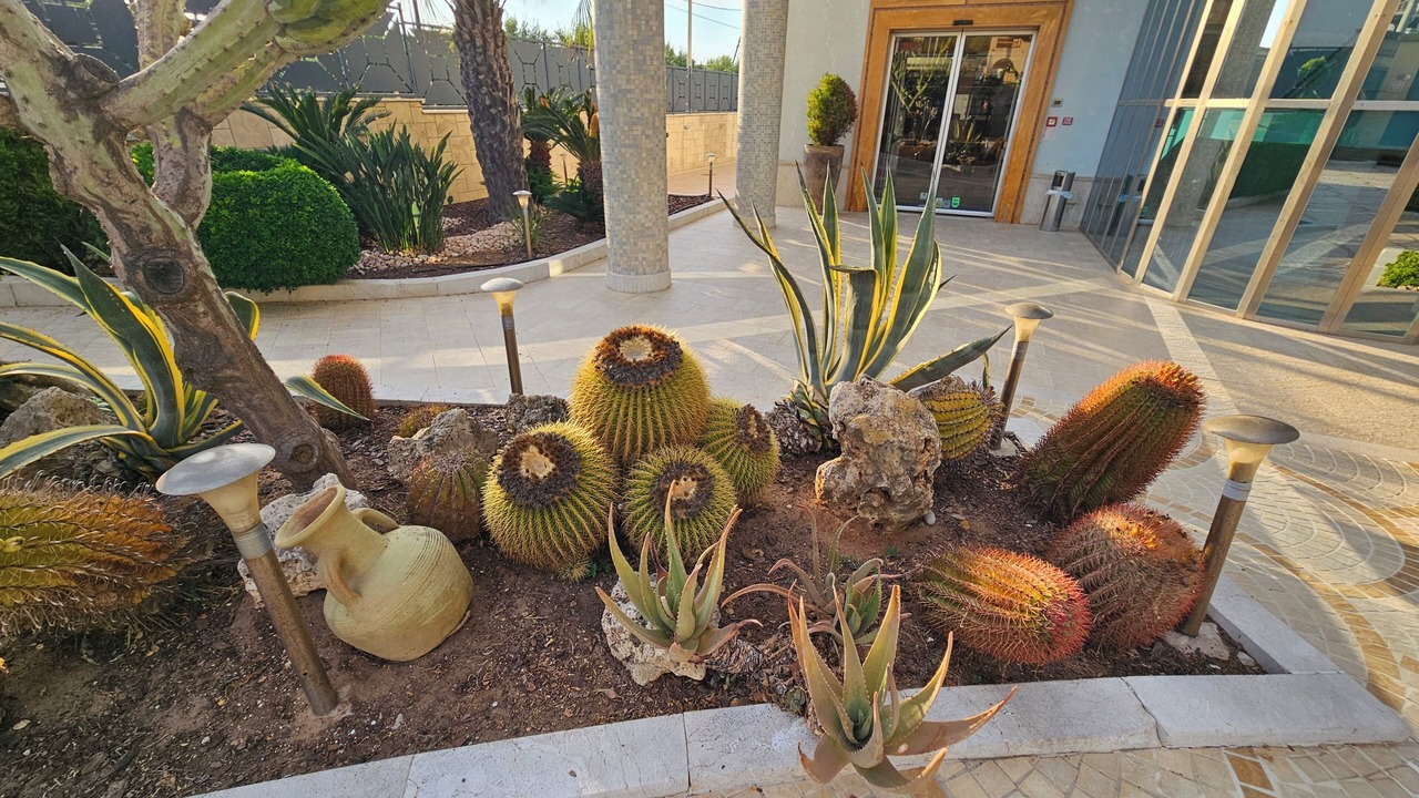 Photo of Outdoor in Balestrate
