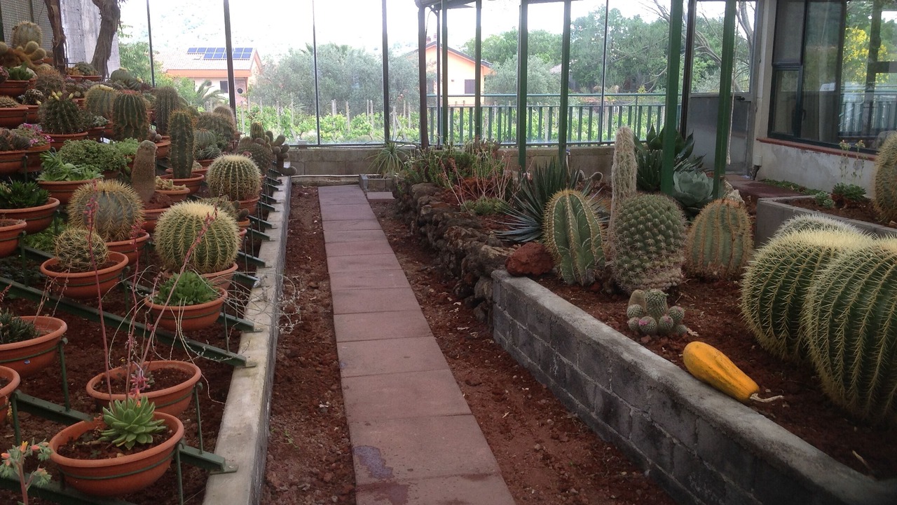 Photo of Outdoor in Rovittello