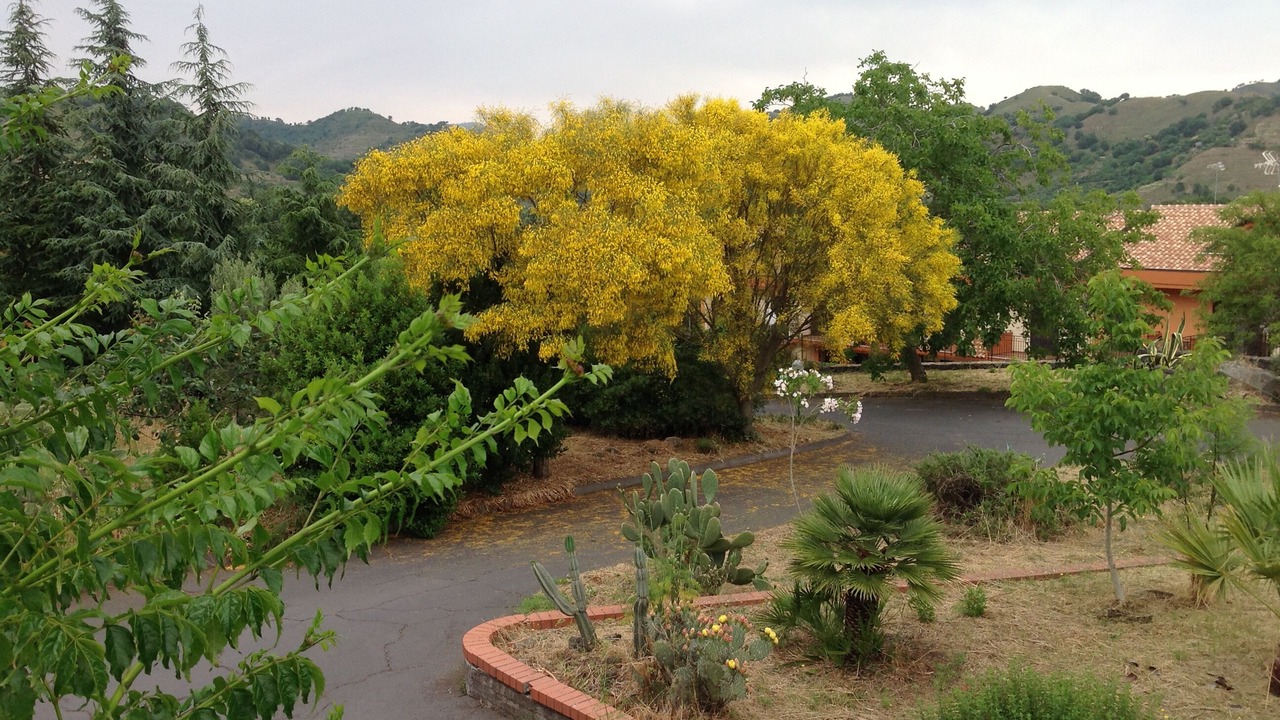Photo of Outdoor in Rovittello