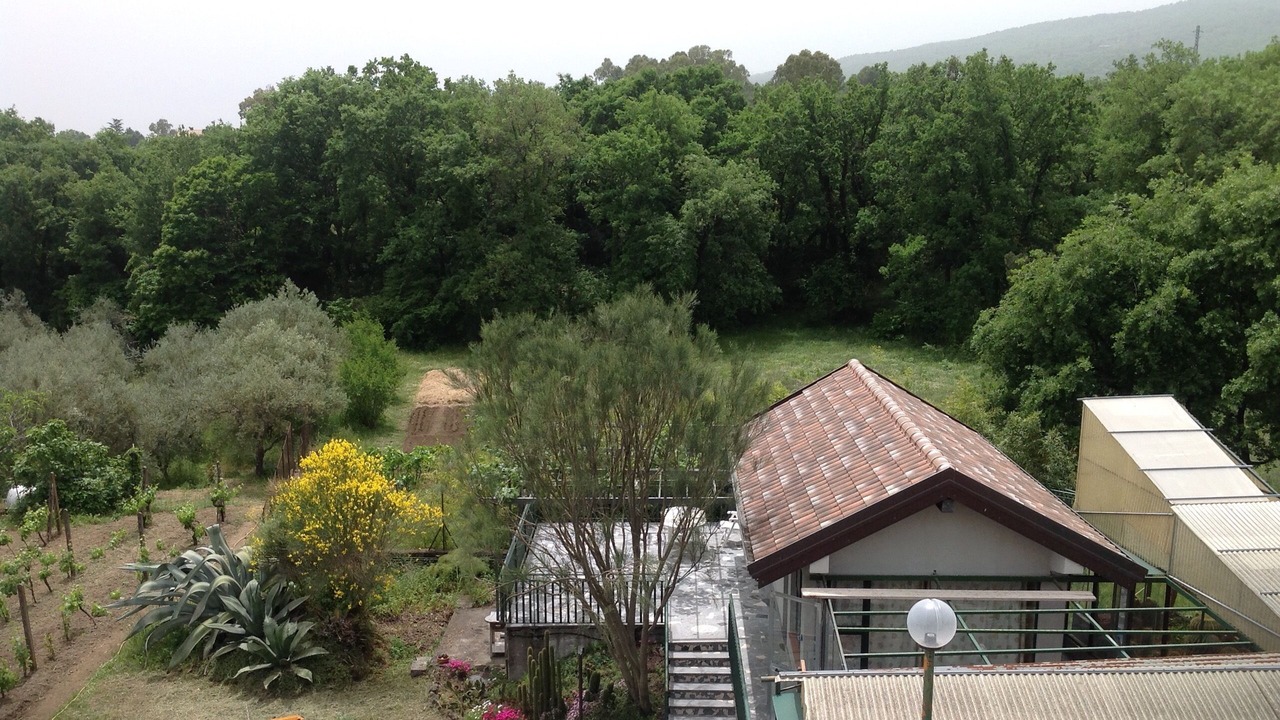 Photo of Outdoor in Rovittello